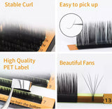 Glam Lash Individual Trays