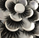 Lash Business Starter Kit