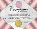 Extreme 3D Butterfly Gel Nail Art Course